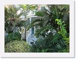 20080202 Key West 112 (Medium) * 800 x 600 * (133KB)
